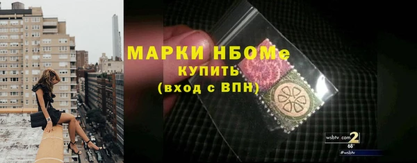 хмурый Алзамай