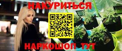 гидра Лесосибирск