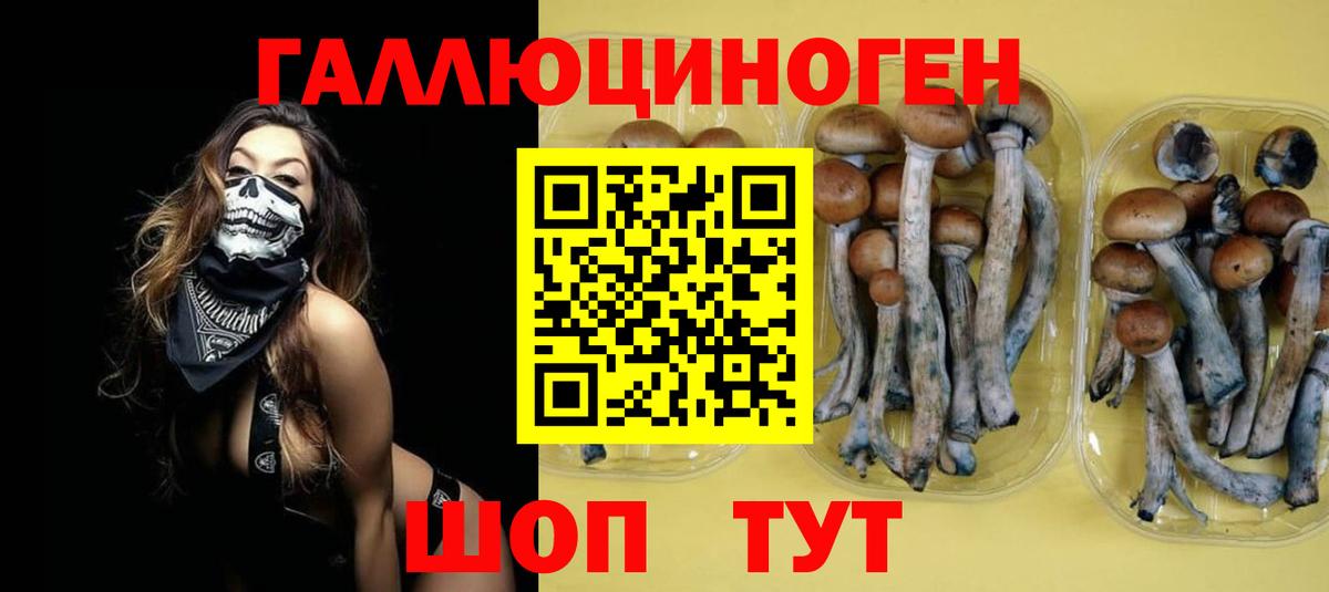 Псилоцибиновые грибы Psilocybine cubensis  Псилоцибиновые грибы GOLDEN TEACHER  Ижевск  Вход с VPN 