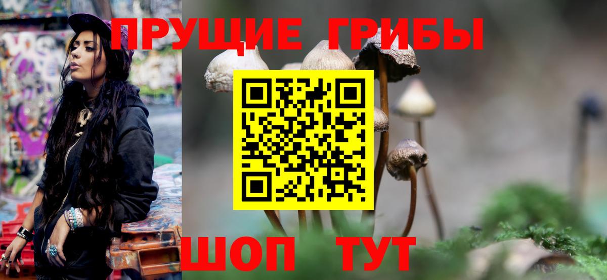 Галлюциногенные грибы GOLDEN TEACHER Ижевск