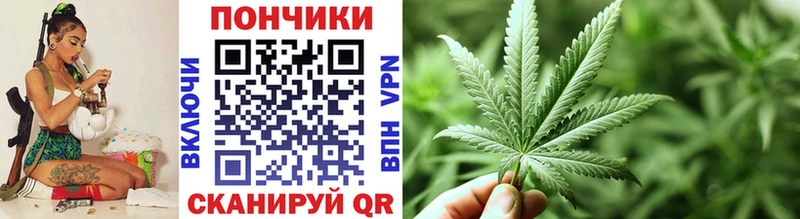 как найти наркотики  Ижевск  Конопля ГИДРОПОН 